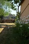 Le Saule Argenté