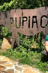 Visite à la ferme Chez Nicolas