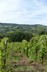 Domaine de Belert