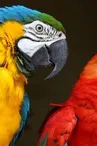 Paco & Rita