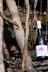 Domaine de Bias