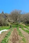 Aux jardins du Soulié