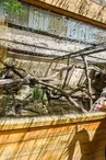 LE REPTILARIUM DU LARZAC
