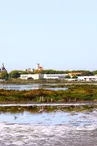 Les anciens salins de Frontignan