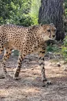ZooLunaret-avril2022-(6)