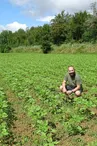 La commingeoise-agassac-jardin
