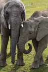 Credit Photo Mathieu Pujol -African Safari  (17)