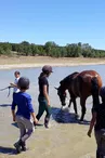 Equitec - Balade