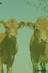 vache