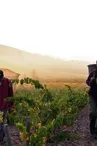 DOMAINE GRAND GUILHEM
