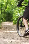 VTT en forêt
