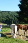 Propriétaire des lieux