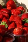 Aux fraises de Bourcq