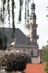 Eglise des Jésuites et cigognes à Molsheim