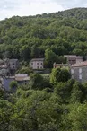 IMG_9494