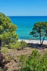 pinia-ghisonaccia