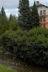 Hotel Celisol