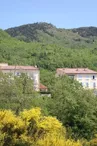 Le Noell 1