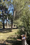 Parc aux écureuils