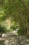 Hotel l'Amandière jardin