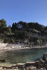 Anse du Corton_Cassis