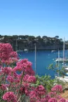 Port Miou