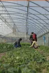 Ferme pédagogique du Roy d'Espagne_Marseille