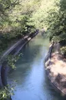 Canal de Montrichet