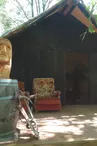 chalet shooting forest