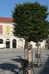 Place de la révolution