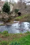 L'Erve