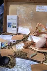 marché des créateurs et producteurs