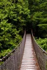 Lynn Canyon Park & Suspension Bridge