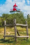Teddy bear coutances tourisme