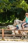 Manege-a-poneys-sillé-plage-72-LOI-1